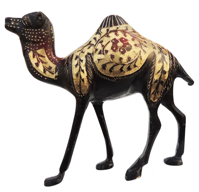 Brass Showpiece Camel Statue - 6.1*2*5.5 Inch (AN117 A)