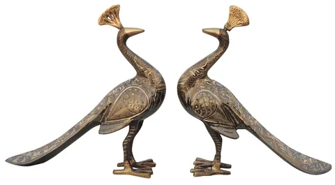 Brass Showpiece Peacock Pair Statue - 8.5*2.6*9.2 Inch (AN253 B)