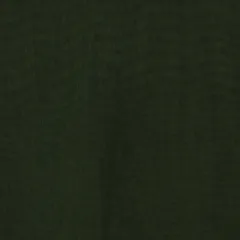 Bottle Green Chanderi Plain Fabric
