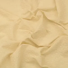 Off White Cotton Box Pattern Schiffli embroidery Embroidery Fabric