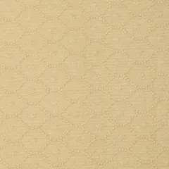 Off White Cotton Box Pattern Schiffli embroidery Embroidery Fabric