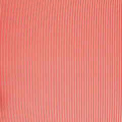 Strawberry Print Cotton Zigzak Stripe Print Fabric