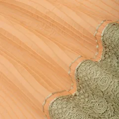 Apricot Cotton Floral Net Pintex Border Gota Work Fabric