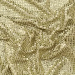 White Georgette Sequin Embroidery Fabric