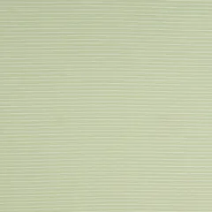 Light Green Lawn Stripe Print Fabric