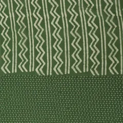 Pigmented Green Georgette Zigzak Stripe Block Print Border Sequin Embroidery Fabric