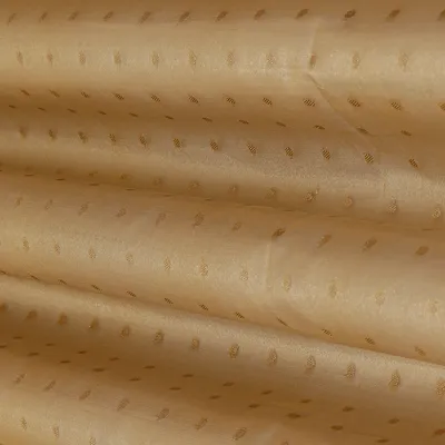 Beige Booti Embroidery Tissue Fabric