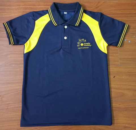 Aurinko Academy Sports T Shirt - Pre Primary to Grade 12
