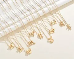 High Quality Golden Zodiac Sign Necklace