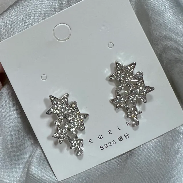 Premium Silver Star Korean Earrings (d-8)