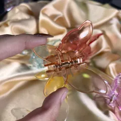 Transparent Big Butterfly Designed Hair Clutchers