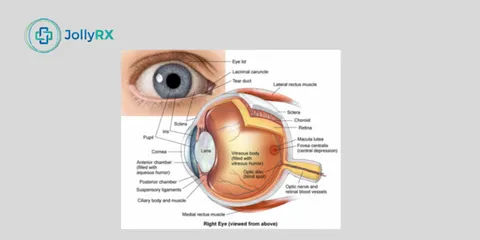 CMV Retinitis: Get to Know the Symptoms, Prevention, and Treatment