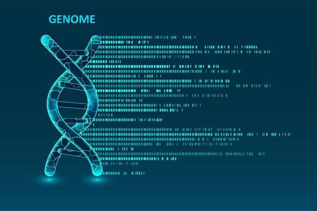 Cantu syndrome (ABCC9) gene-Gene Analysis