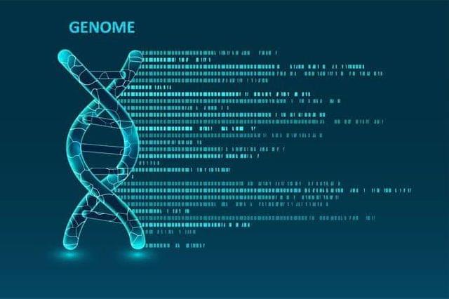 Prenatal Diagnostics- Karyotyping and FISH(13,18, 21, X, Y) CVS
