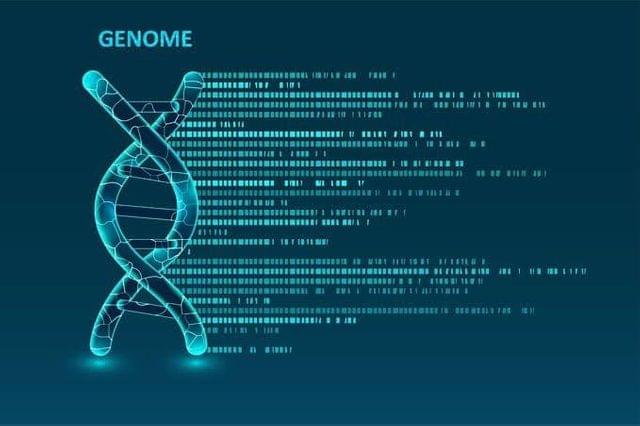 WES - Whole Exome Sequencing