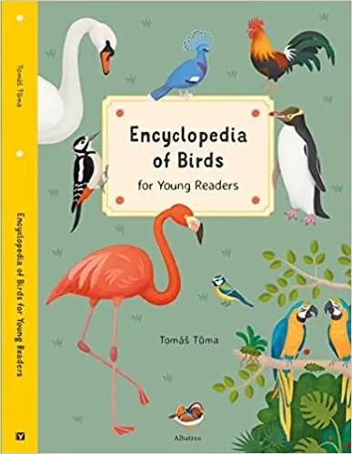 Encyclopedia Of Birds For Young Readers
