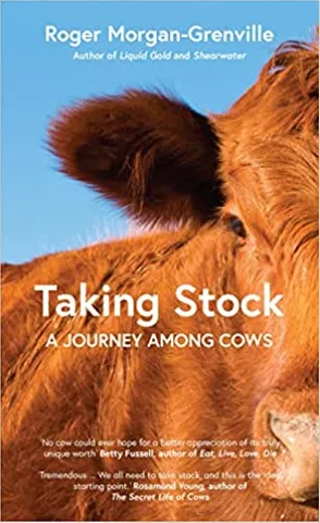 Taking Stock A Journey Among Cows