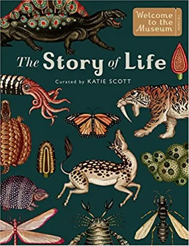 The Story Of Life Evolution