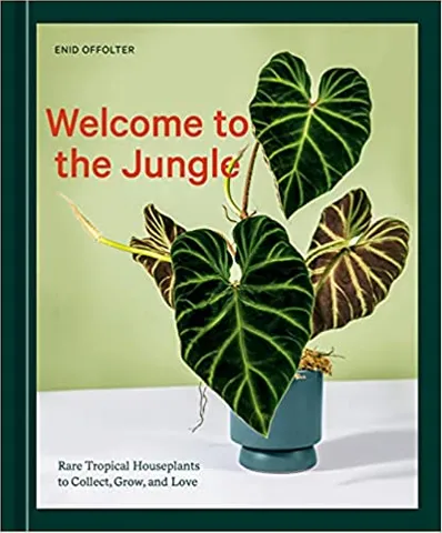Welcome To The Jungle Rare Tropical Houseplants To Collect, Grow, And Love