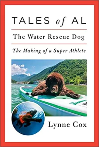 Tales Of Al The Water Rescue Dog