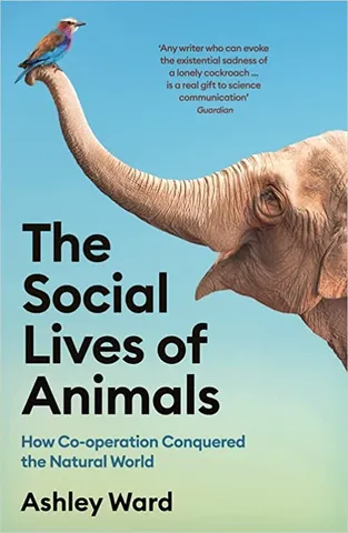 The Social Lives Of Animals How Co-operation Conquered The Natural World