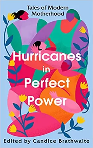 Hurricanes In Perfect Power Tales Of Modern Motherhood