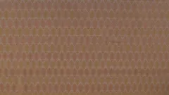 Handloom Tanchoi All Over Motif Running Fabric. Silk / Cotton-FAB-037