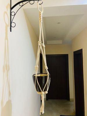 Cotton Plant Hanger [Without Pot] | Set Of 2