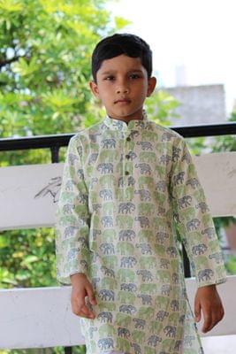 Handblock animal print cotton Kurta for boys