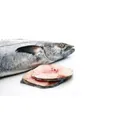 King Fish Slice Cut : 250 Gm-edobo