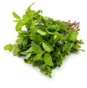 Pudina Mint Leaves : 1 Bunch (250 Gm - 300 Gm)