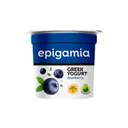 Epigamia Greek Yogurt Blueberry Cup : 90 Gm #