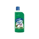 Lizol All In One Disinfectant Surface Cleaner Jasmine : 500 ml