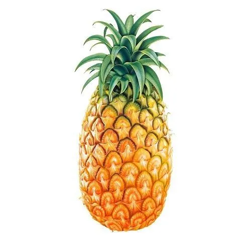 Pineapple (Per Pcs)
