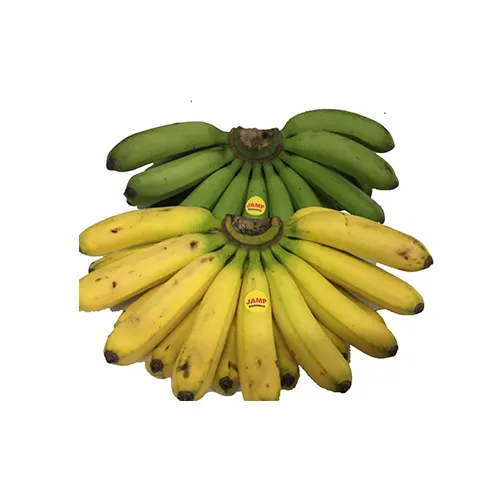 J3Amp Banana Lacatan