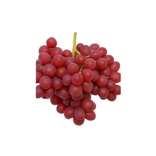 Landmark Scarlet Seedless Grapes