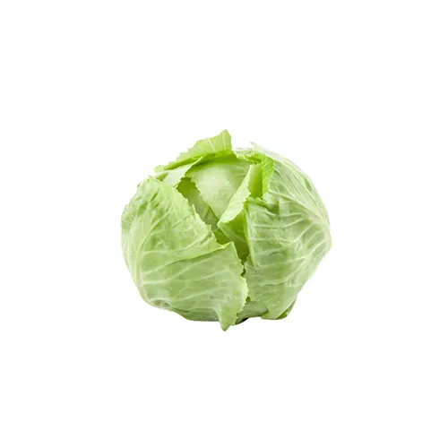 Livegreen Cabbage Organic