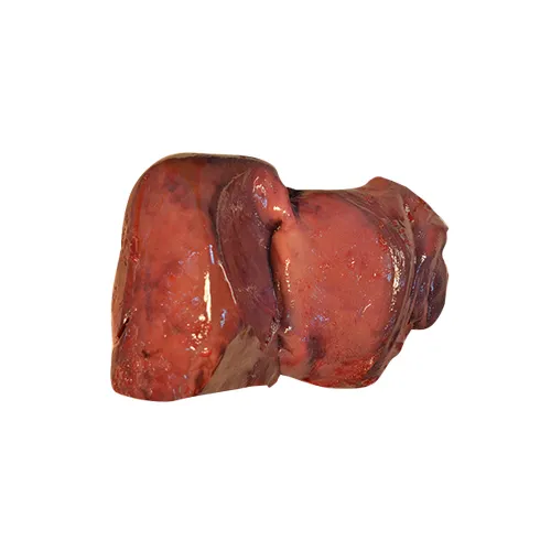 Tenderbites Pork Liver