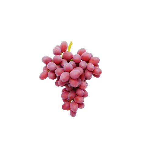 Landmark Timco Seedless Grapes