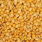 Tur-Red Gram