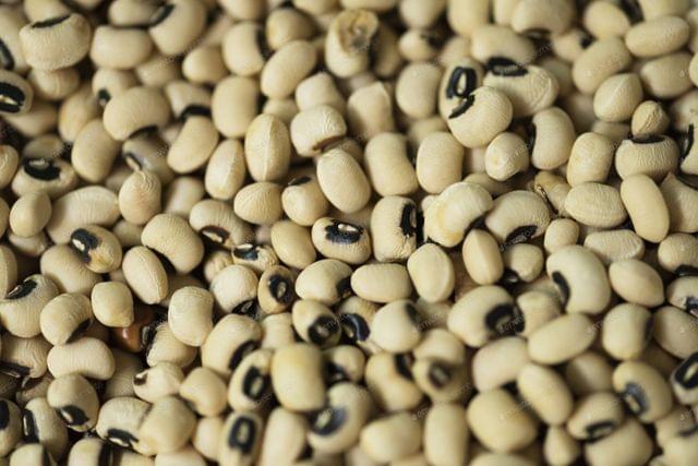 Soyabean