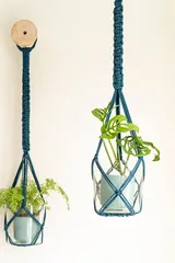 Classic Hand-Knotted Plant Hanger