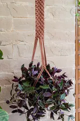Classic Wide Hand-Knotted Plant Hanger