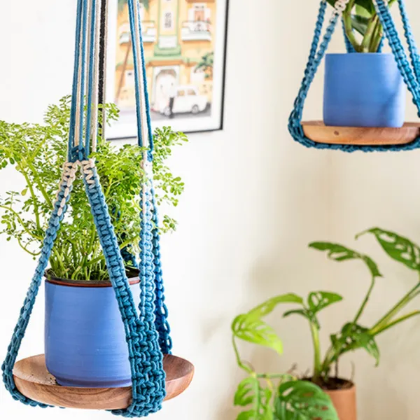Ombre Interlaced Hand-Knotted Plant Hanger