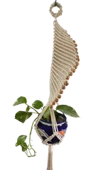 Spiral plant hanger