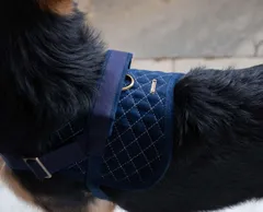 Corduroy and Canvas Harness for Dog