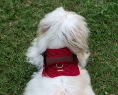 Corduroy and Canvas Harness for Dog