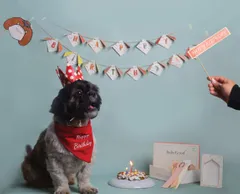 Crafty DIY Dog Birthday Kit