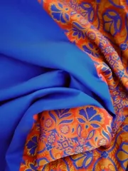 Banarasi Blue Soft Silk Saree in Ink Blue with Contrast Resham weave Aanchal