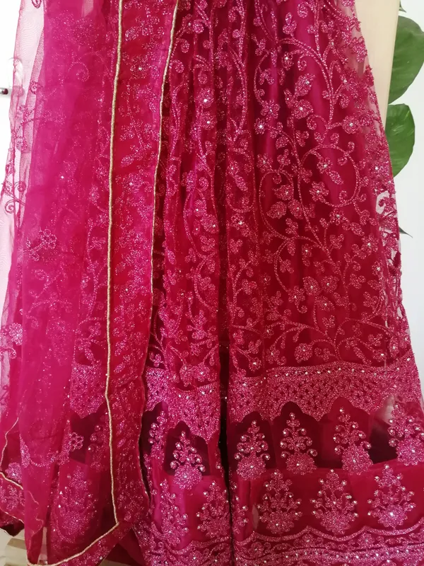 Rani Pink Net Lehenga with Heavy Silver Zari work